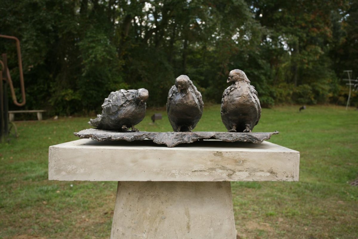 "Pigeons" by Colleen Rudolf